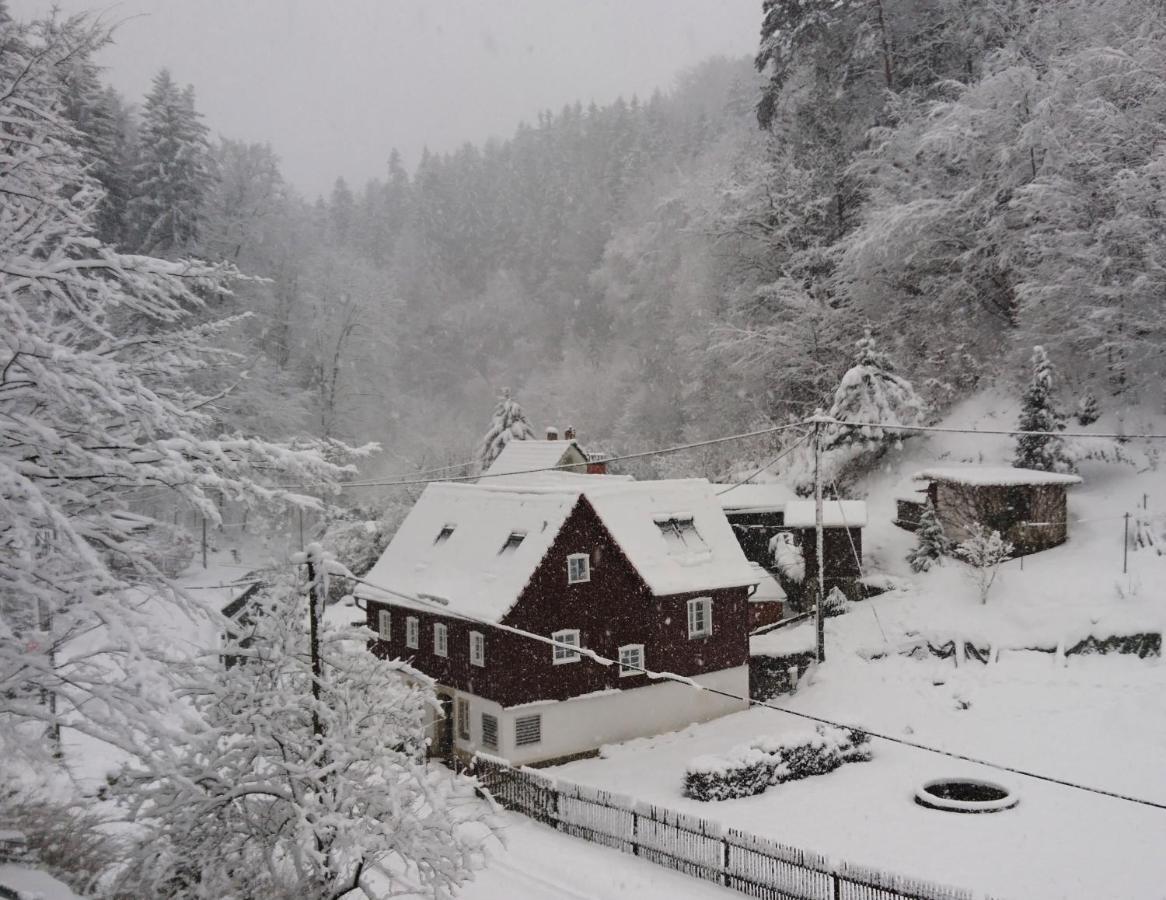 Ferienhaus Bildhauer Thiele Ottendorf  Zewnętrze zdjęcie
